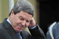 مثول هامل وبراشدي أمام محكمة البليدة اليوم في قضية البوشي