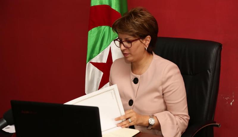 وزيرة الثقافة تشرف على إطلاق أول مشاورة دولية حول وضعية الفنان