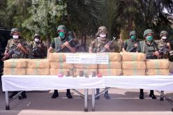 حجز 5 قناطير و60 كلغ من الكيف المعالج ببشار