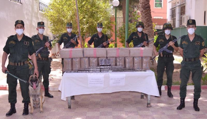 ضبط قرابة 5 قناطير زطلة ببني ونيف في بشار