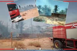 غرداية..حريق يأتي على أشجار النخيل ببلدية زلفانة