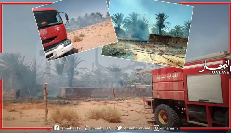 غرداية..حريق يأتي على أشجار النخيل ببلدية زلفانة