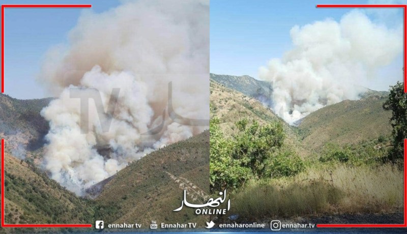 البويرة:سلسلة من الحرائق تجتاح عدة مناطق