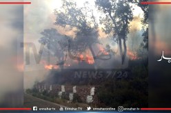 نشوب حريقين في غابات بلديتي الزبوجة والظهرة بالشلف