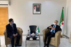 وزير الصناعة: خطط لإطلاق مشاريع شراكة مع عديد المؤسسات الصينية في الميدان الصناعي