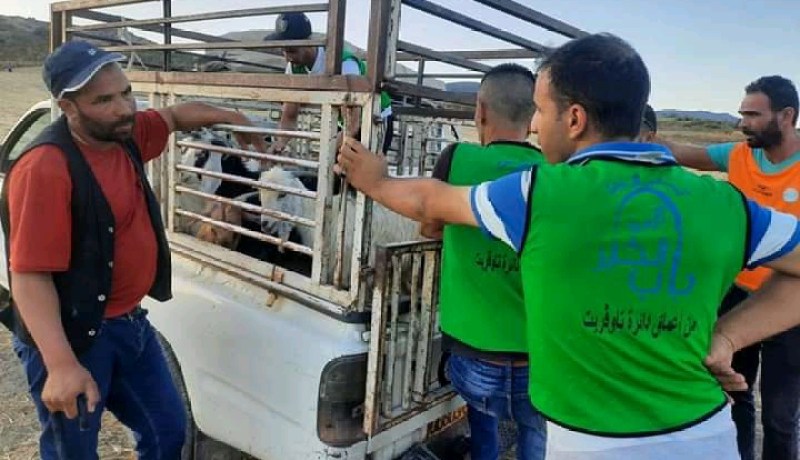 شباب يتطوعون لشراء أضاحي العيد للعائلات المعوزة بتاوقريت في الشلف