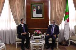 وزير التعليم العالي يبحث تعزيز التعاون في البحث العلمي مع السفير البريطاني