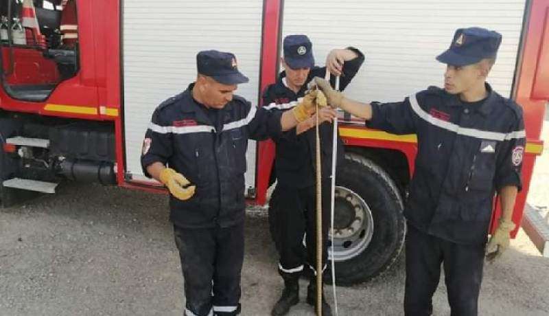 سطيف: الحماية المدنية تقضي على ثعبان داخل شقة عمارة