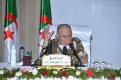 الفريق شنقريحة: القيادة العليا للجيش ستبذل قصارى جهدها لإنجاح استفتاء الدستور