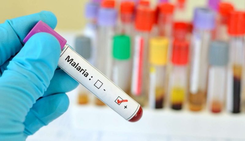 وضع خلايا متابعة لمراقبة تطور مرض الملاريا في تمنراست