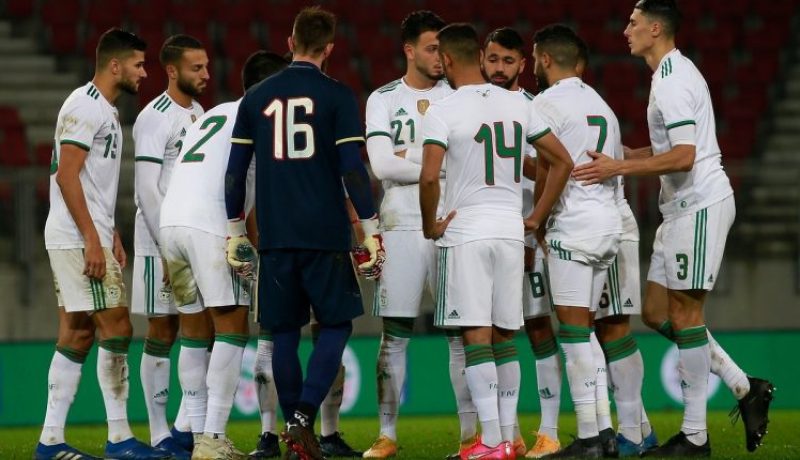 أول حصة تدريبية لـ “الخضر” في هولندا