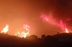 الحماية المدنية: سيطرنا على كل الحرائق ماعدا بـ4 ولايات والتحقيقات ستكشف الأسباب