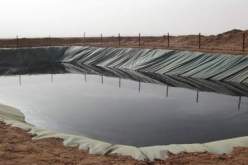 سوناطراك توضح بخصوص تداول فيديو لغرق جملين في حوض للتنقيب