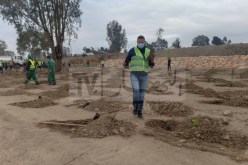 بالصور.. إنطلاق حملة التشجير على المستوى الوطني