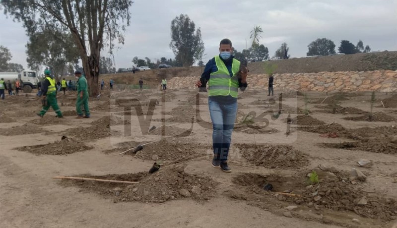 بالصور.. إنطلاق حملة التشجير على المستوى الوطني