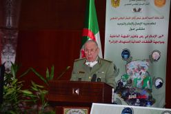 الفريق شنقريحة: الدفاع عن الجزائر وصون سيادتها قضية الجميع