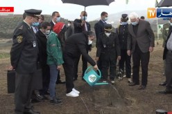 رفقة وفد وزاري.. الوزير الأول يشرف على إطلاق اليوم الوطني للتشجير من تيبازة