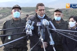 وزير الفلاحة: سيتم تعويض جميع الفلاحين المتضررين من الحرائق الأخيرة