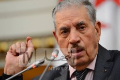 مجلس الأمة: جزائر نوفمبر لن تغفر هكذا سقطة من نظام اعتاد المناورة والتآمر