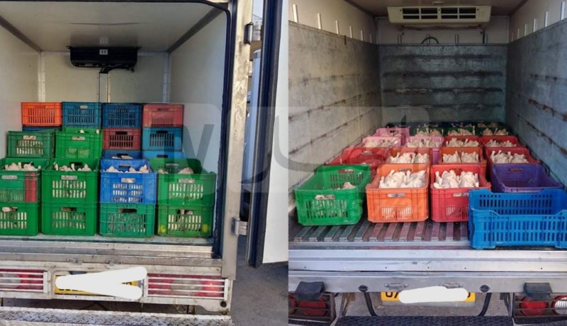 المدية: حجز 12 قنطارا من الدجاج الفاسد بالحوضين