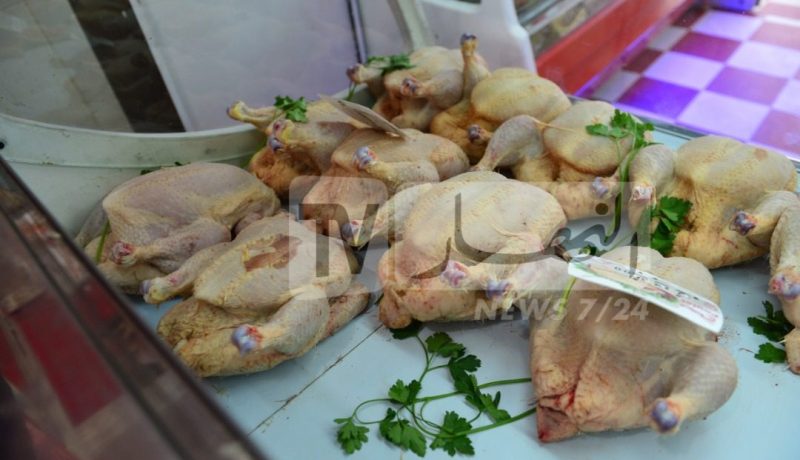 وزير الفلاحة عن اللحوم البيضاء.. سجلنا انخفاضا في أسعارها منذ أسبوع