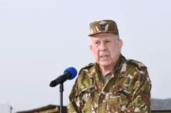 الفريق شنقريحة: النتائج المحققة في مجال مكافحة الإرهاب تشهد على حجم الجهود الصادقة للجيش