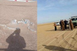 باتنة: العثور على هيكل عظمي لرجل مفقود منذ 4 سنوات