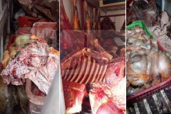 باتنة.. إيداع 3 أشخاص الحبس بتهمة ترويج لحوم الحمير والبغال