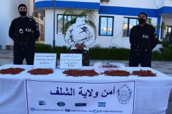 الشلف.. توقيف أربعيني وحجز أزيد من 3 كلغ من المرجان الأحمر