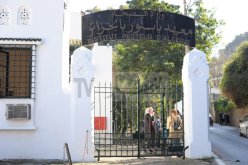 تحذير من لمس القطط والكلاب بعد تسجيل حالة كلب بالإقامة الجامعية 2 لجامعة لونيسي علي بالعفرون