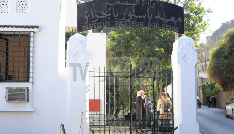 تحذير من لمس القطط والكلاب بعد تسجيل حالة كلب بالإقامة الجامعية 2 لجامعة لونيسي علي بالعفرون
