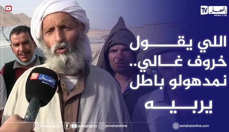 موال من المسيلة: يخرجو 20 قنطار كروفات من البحر يبيعوها ب400ألف للكيلو والكبش يقولك غالي