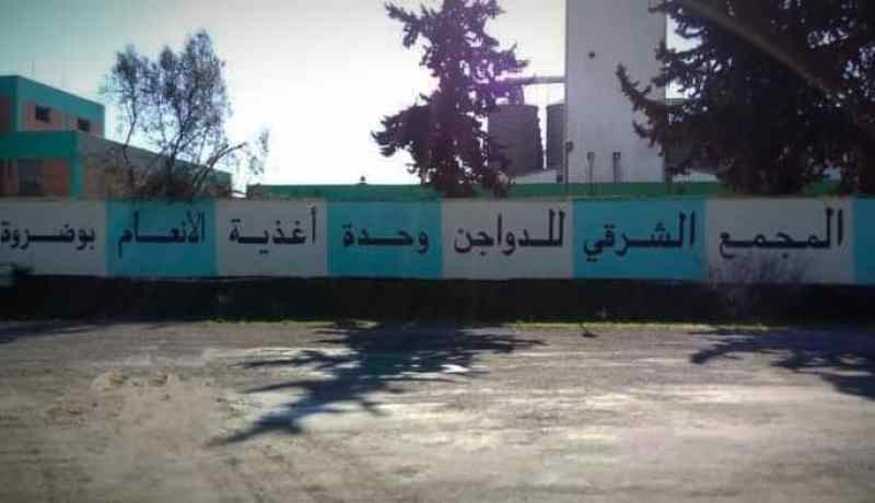 قالمة: 16 متهما في قضية فساد بوحدة أغذية الأنعام “بوضروة” ببوشقوف