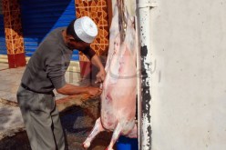 وزارة البيئة تدعو لتفادي هذه الأمور خلال ذبح الأضاحي