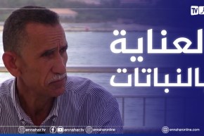 الصيف يحلى معنا /كيفية العناية بالنباتات الداخلية