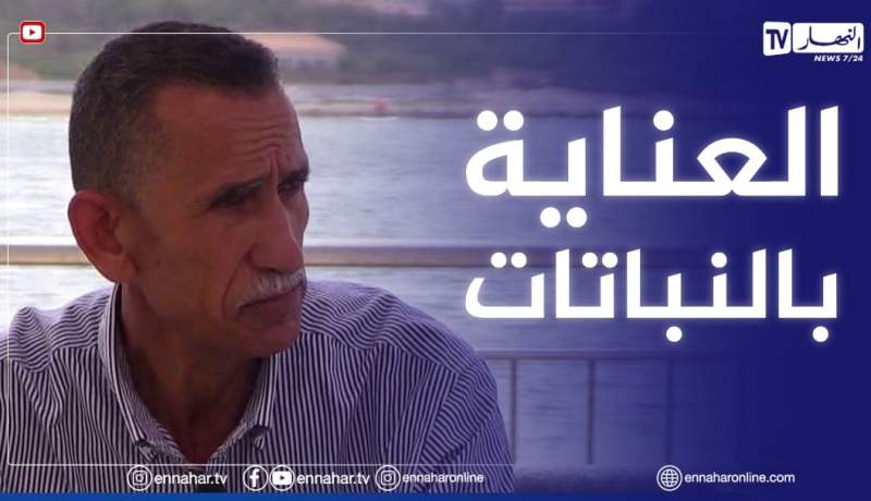 الصيف يحلى معنا /كيفية العناية بالنباتات الداخلية