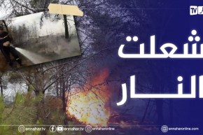 نشوب حريق في غابة “بوركوت” بتلمسان