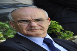 وزارة الطاقة لا تحب الأشجار