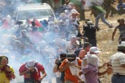 اختناق عشرات الفلسطينيين في مسيرة ضد الاستيطان قرب رام الله