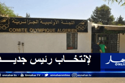 اللجنة الأولمبية الجزائرية تحدد موعد انعقاد جمعيتها العامة الإنتخابية