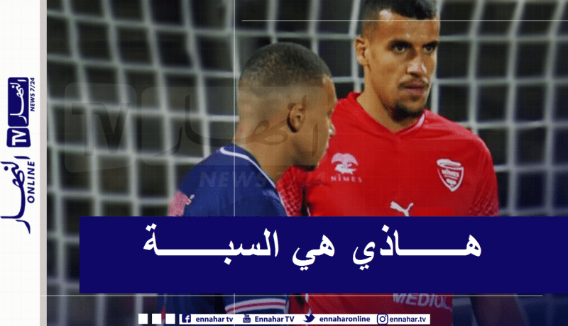 عريبي: “فضلت نيم على أموال الخليج من أجل هذه الأهداف”