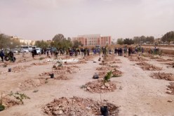 شجرة لكل شهيد في الأغواط