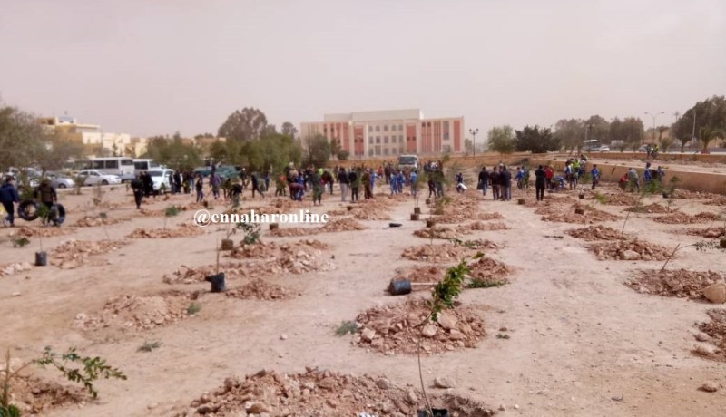 شجرة لكل شهيد في الأغواط