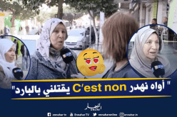 هكذا تواجه المرأة الجزائرية مشاكلها مع زوجها..