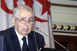 بن صالح يمثل بوتفليقة في مراسيم تدشين قناة السويس الجديدة بمصر