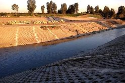 الرئيس تبون يكلف وزيرة البيئة ببعث مشروع تطوير محيط وادي الحراش