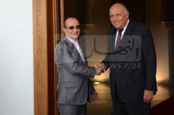 وزير الخارجية المصري يصل إلى الجزائر