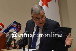 الجزائريون يستهلكون 15 مليون طن من الغاز والبنزين سنويا