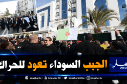 منظمات المحامين: يجب الإفراج عن معتقلي الرأي.. ومسيرة وطنية الخميس المقبل