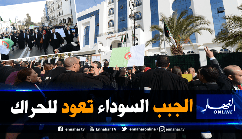 منظمات المحامين: يجب الإفراج عن معتقلي الرأي.. ومسيرة وطنية الخميس المقبل